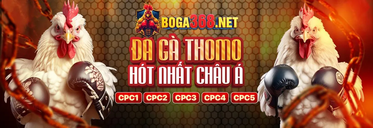 Đá Gà Trực Tuyến Hấp Dẫn tại 79bets